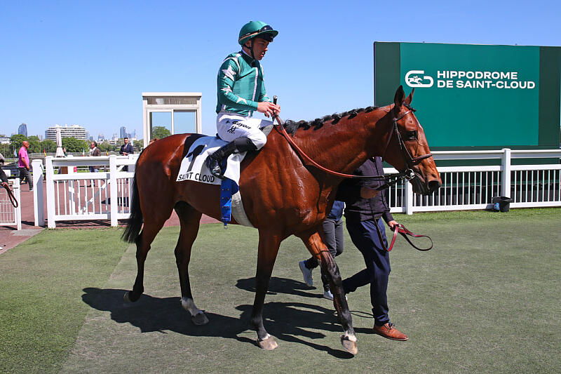 Homebred Baroud off the mark at Saint-Cloud