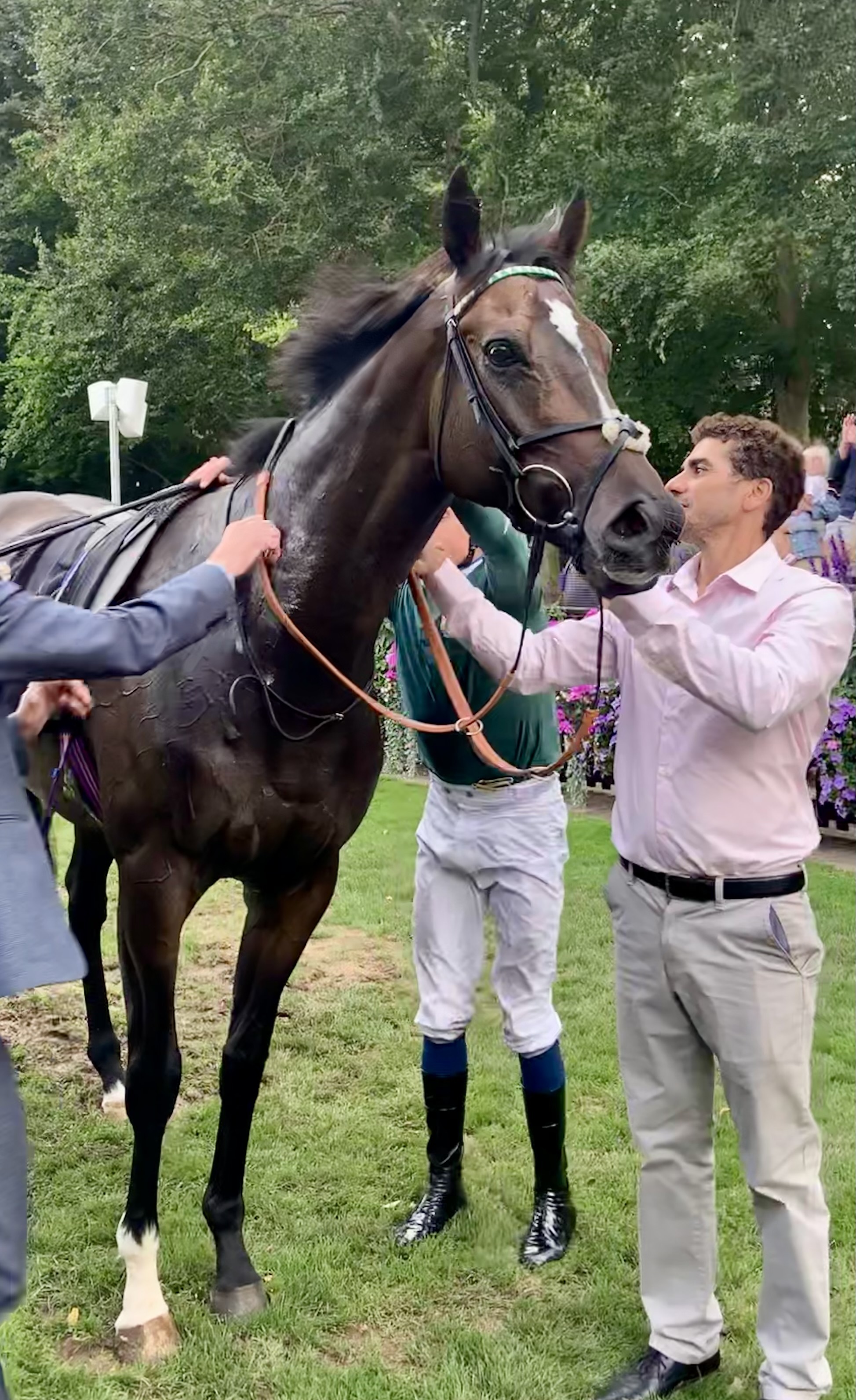 More Blue Diamond winner magic