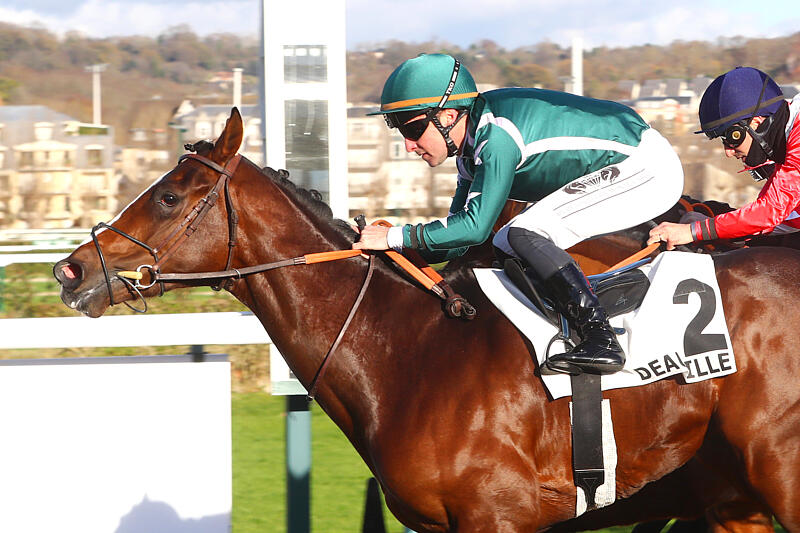 Successful debut for homebred Zade