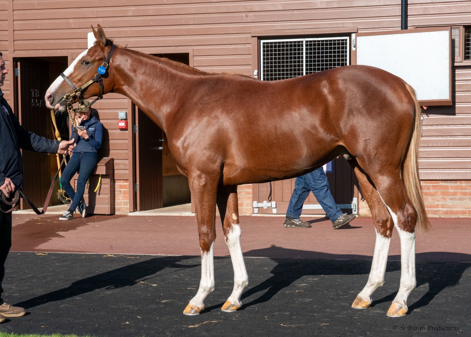 Promising Ranga Tang heads BDS-bred double